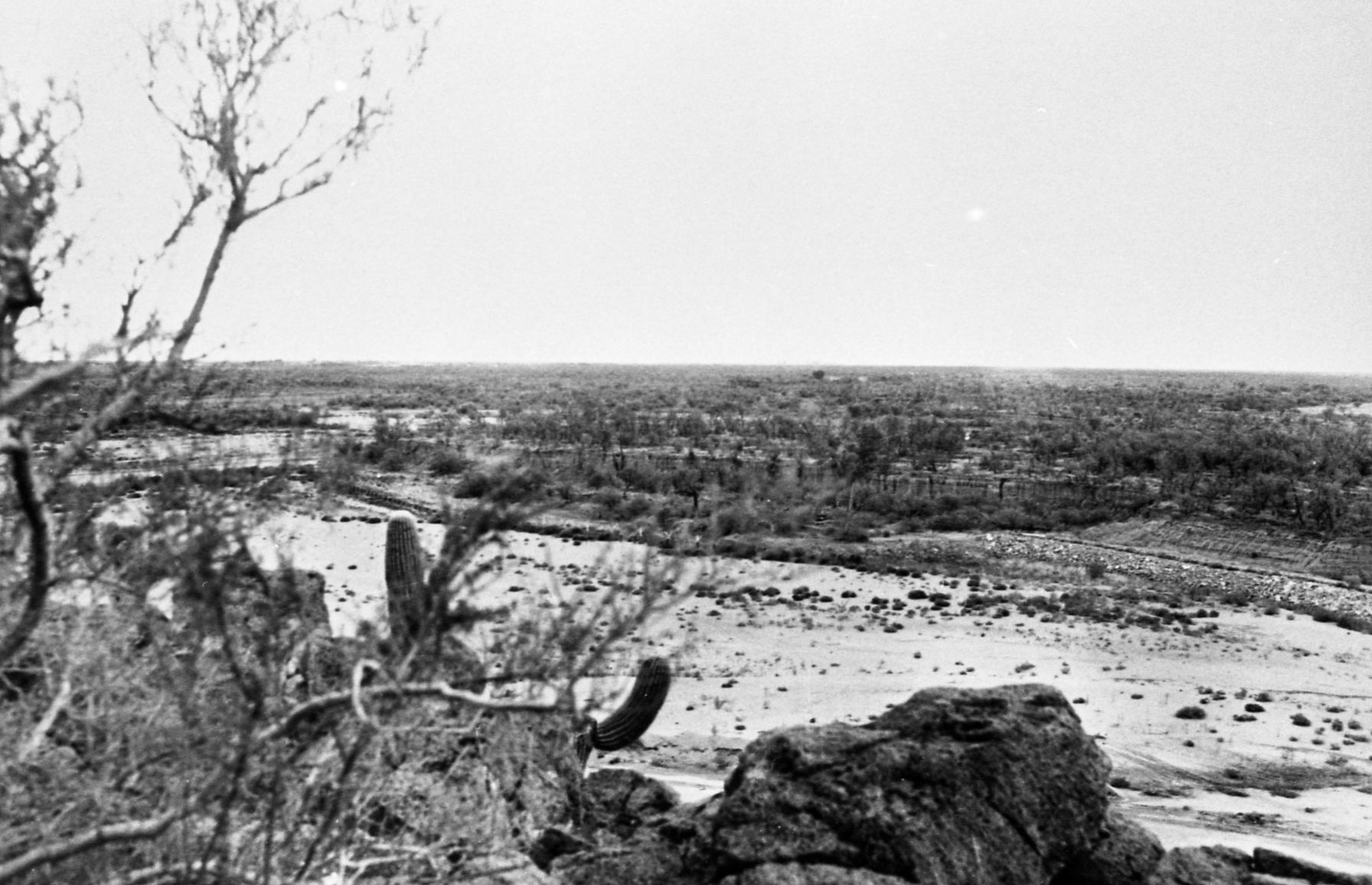 Santa Cruz River, 1978